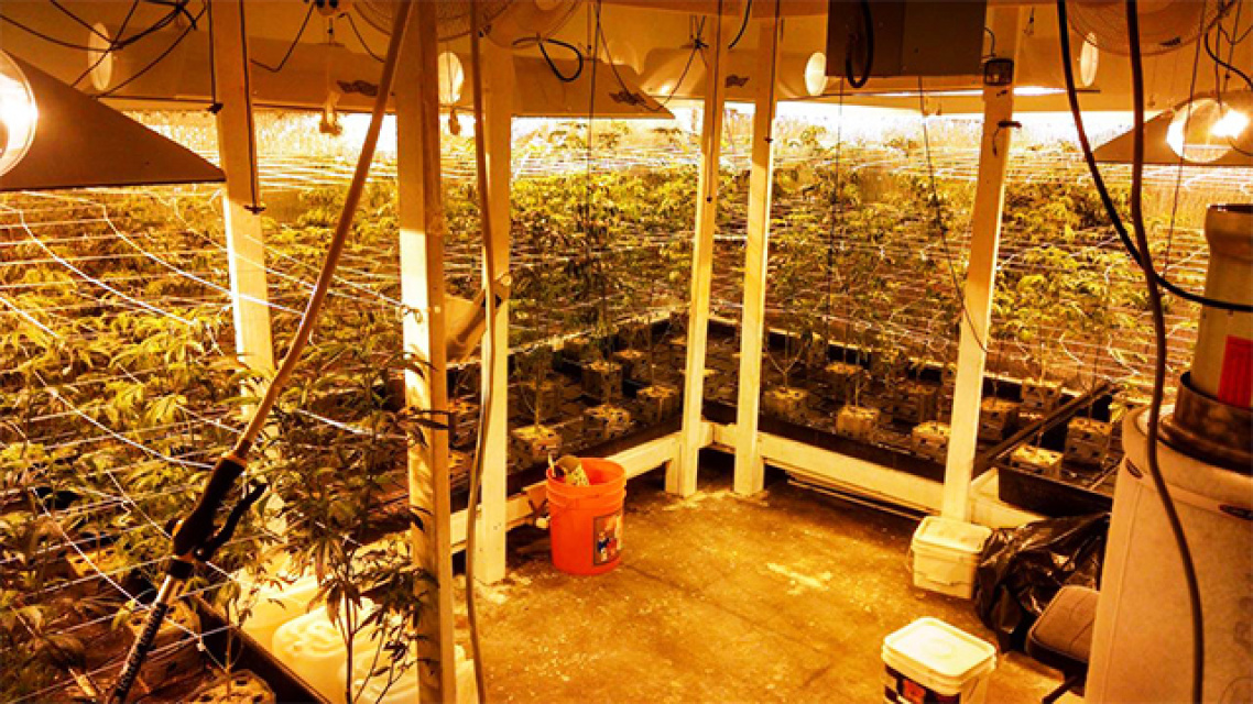 Police Find Marijuana Grow-Op In Sun Valley Garage: LAist