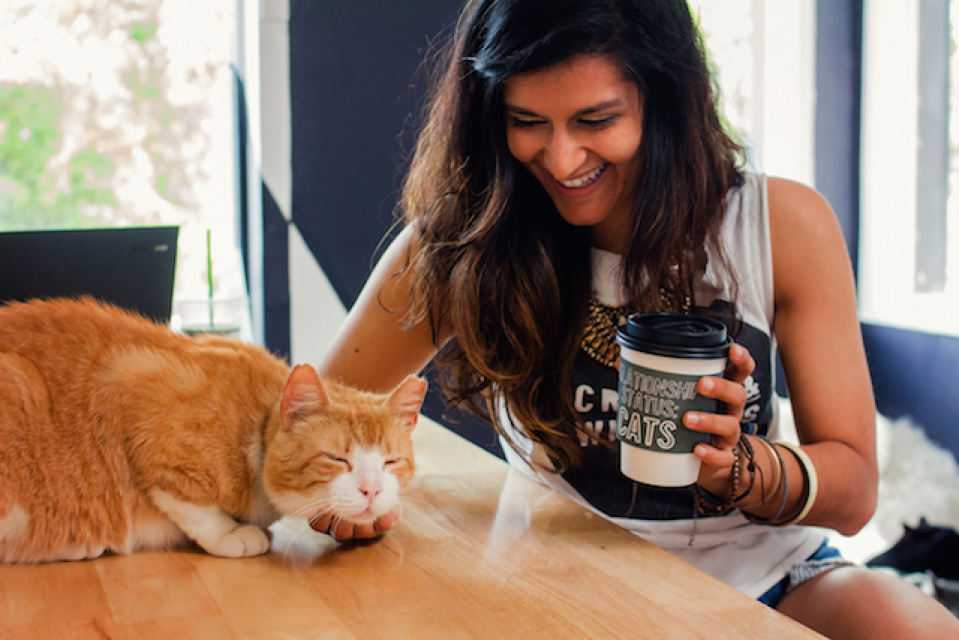 Los Angeles' First Cat Cafe Has An Official Opening Date ...